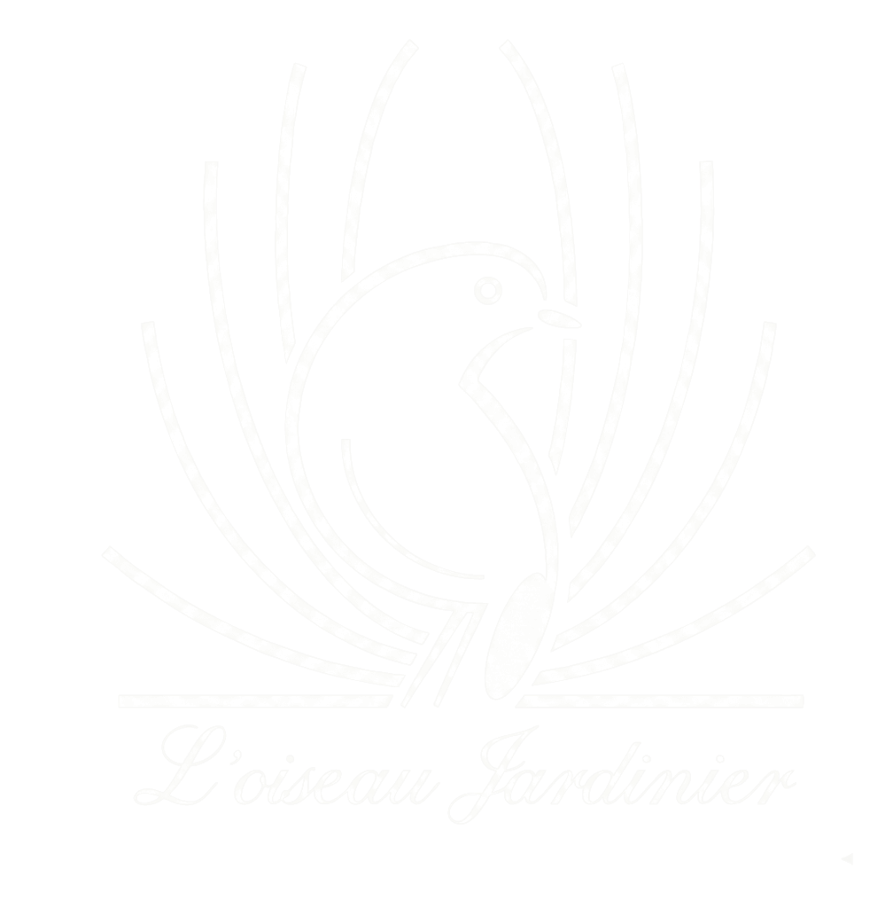 L'Oiseau Jardinier